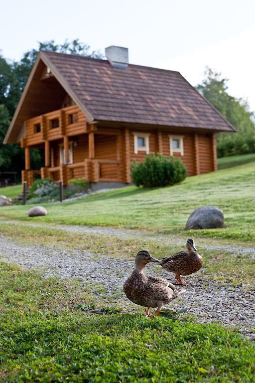 Partsilombi Holiday Home Отепя Экстерьер фото